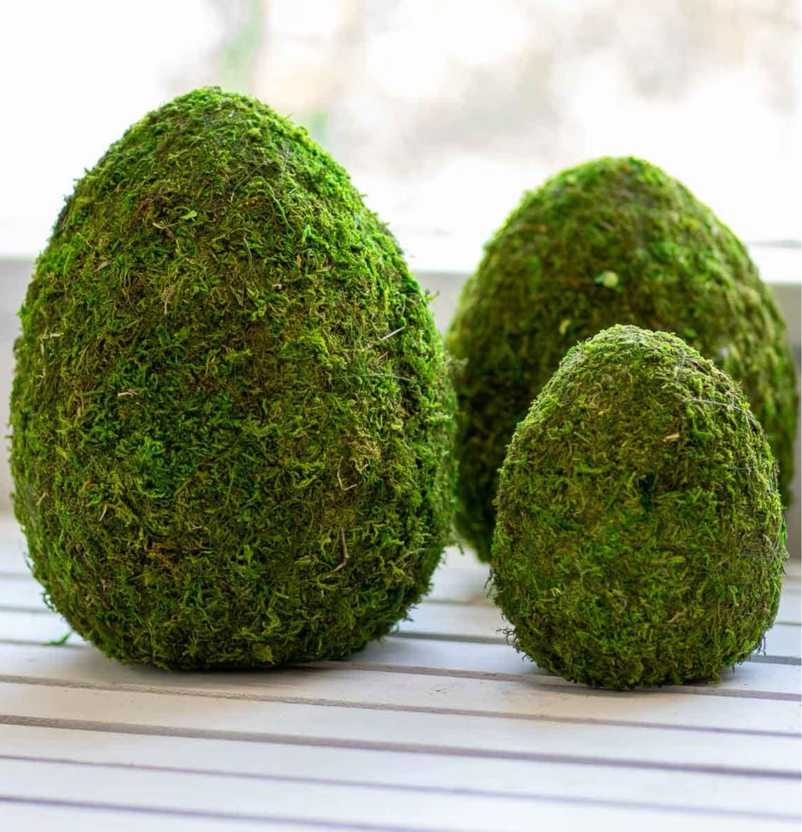 Moss Egg Decor