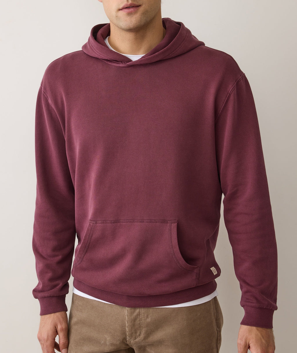 Cloud 9 Fleece Relaxed Hoodie - Fig