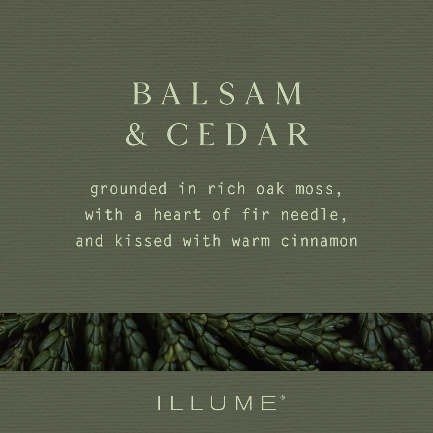 Balsam & Cedar by Illume